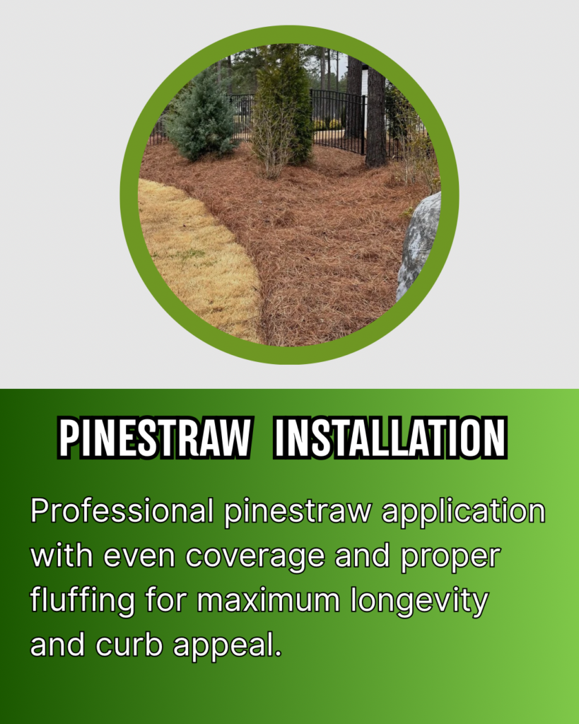 Green And White Modern Lawn Care Services Instagram Post 819x1024