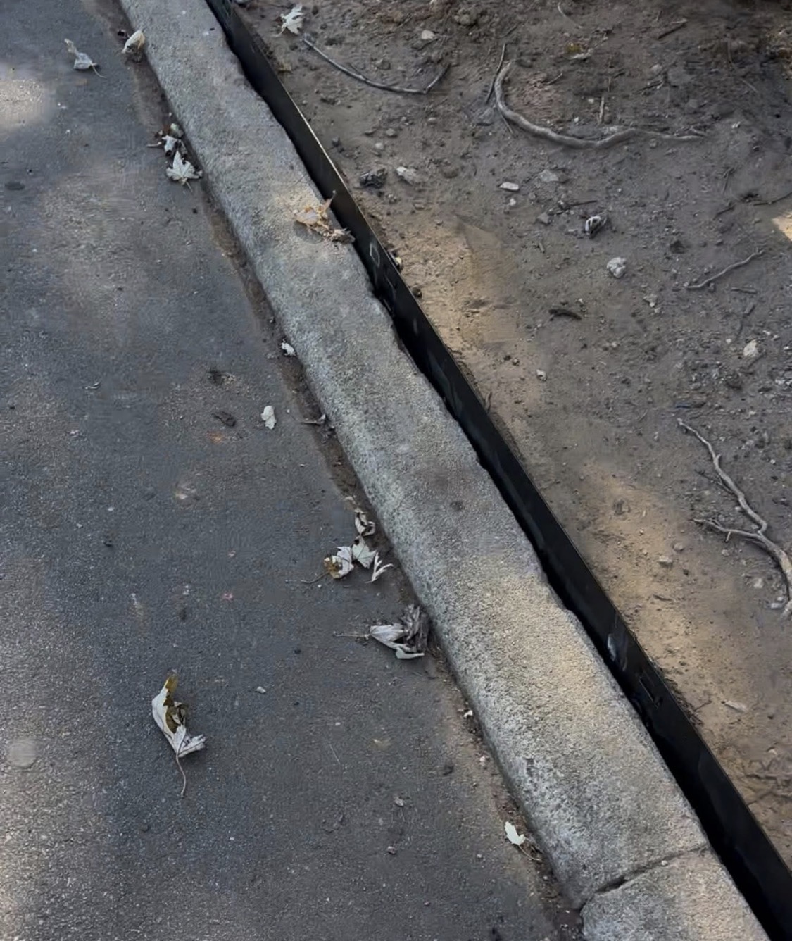 Gallery IMG 7205